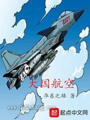 《大国航空》TXT下载-作者：华东之雄