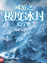 网游之极度冰封图片
