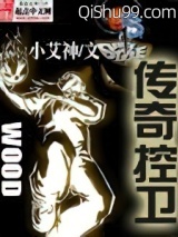 《传奇控卫》全本TXT下载-作者：小艾神