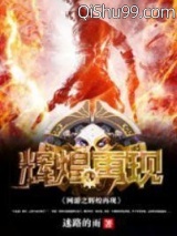 《网游之辉煌再现》全本TXT下载-作者：迷路的雨