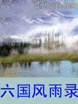 六国风雨录图片
