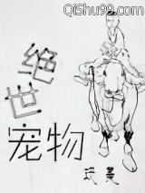 绝世宠物小说