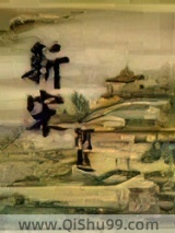 《新宋》全本TXT下载-作者：阿越