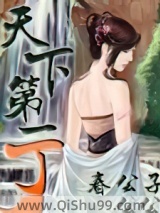 《天下第一丁》全本TXT下载-作者：春公子