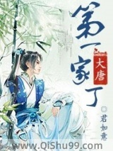 《大唐第一家丁》全本TXT下载-作者：君如意