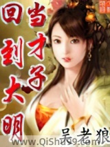 回到大明当才子小说