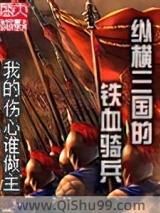 纵横三国的铁血骑兵图片