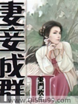 妻妾成群II小说