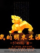 我的明末生涯图片