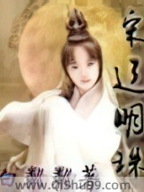 《宋辽明珠》全本TXT下载-作者：白粼粼