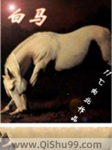 《白马》全本TXT下载-作者：11℃向北