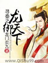 寻秦之龙御天下图片