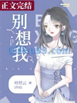 《别想我》全本TXT下载-作者：叶停云