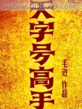 天字号高手小说
