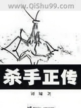 杀手正传小说
