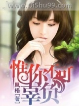 惟你不可辜负小说