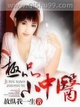 《极品小中医》全本TXT下载-作者：放纵我一生