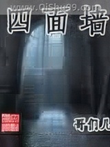 《四面墙》全本TXT下载-作者：哥们儿