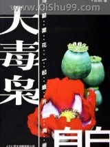 大毒枭自白图片