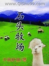 石头牧场小说