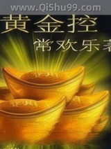 黄金控小说