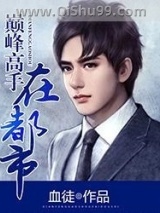巅峰高手在都市小说