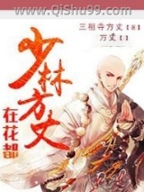 《少林方丈在花都》全本TXT下载-作者：三祖寺方丈