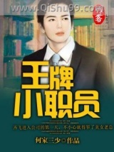 王牌小职员小说