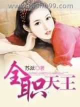 《全职天王》全本TXT下载-作者：苏派