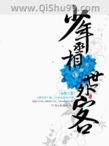 少年丞相世外客小说