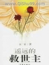 《遥远的救世主》全本TXT下载-作者：豆豆