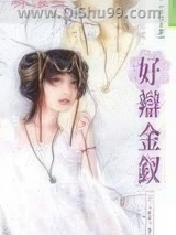 《好辩金钗》全本TXT下载-作者：林淮玉