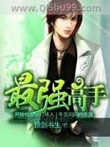 《最强高手》全本TXT下载-作者：银剑书生