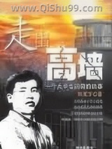 《走出高墙》全本TXT下载-作者：阳光下