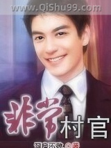 《非常村官》全本TXT下载-作者：洞房不败