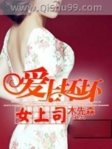《爱上坏坏女上司》全本TXT下载-作者：木先森