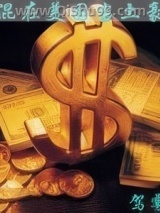 混在美国当土豪图片