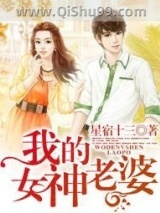 《我的女神老婆》全本TXT下载-作者：星宿十三