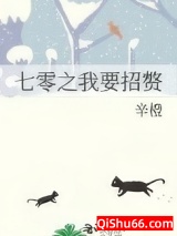 七零之我要招赘图片