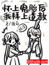 《怀上鬼胎后我拜上道教》全本TXT下载-作者：槡茴