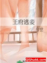 《王府逃妾》全本TXT下载-作者：兮堂