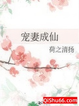《宠妻成仙》全本TXT下载-作者：荷之清扬