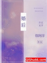 《婚后》全本TXT下载-作者：暮阿洋