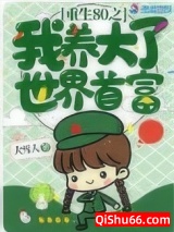 《重生八零我养大了世界首富》全本TXT下载-作者：大雪人