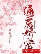 通房娇宠小说
