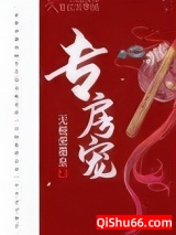 专房宠小说