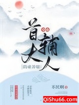 穿成首辅大人的童养媳图片