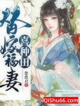 《替嫁福妻喜种田》全本TXT下载-作者：楚淮君