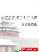 失忆后我成了太子良娣图片