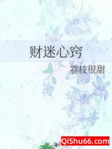 《财迷心窍》全本TXT下载-作者：荔枝很甜
